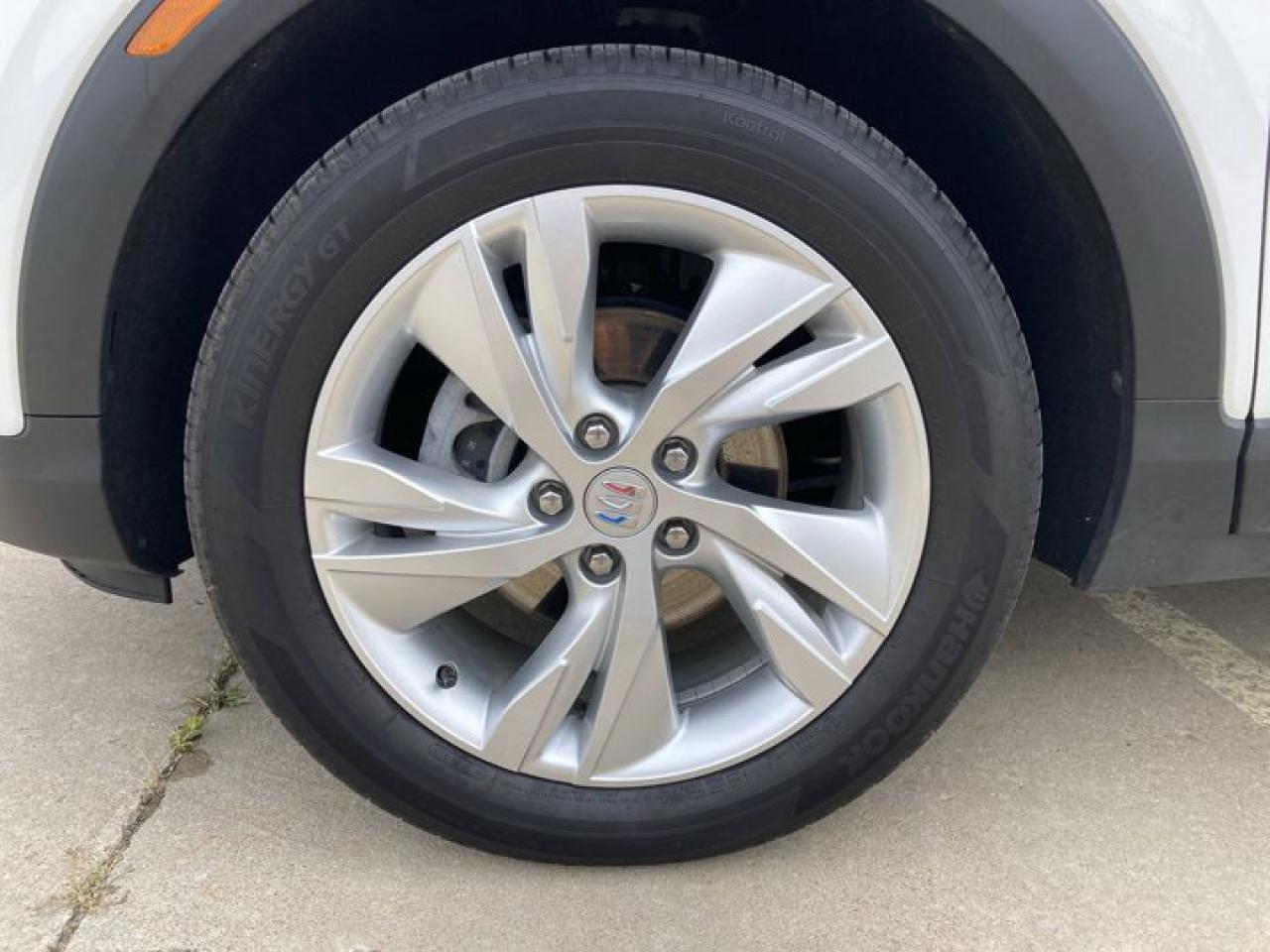 12817558