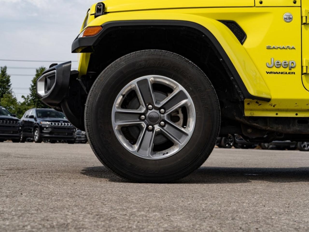 2023 Jeep Wrangler Sahara Photo