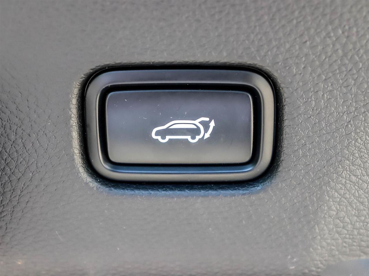 2024 Kia Seltos EX PREMIUM Photo