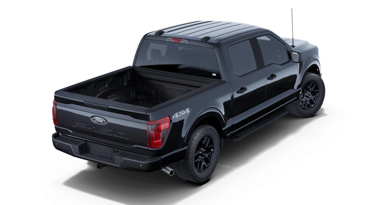 2025 Ford F-150 STX Photo2
