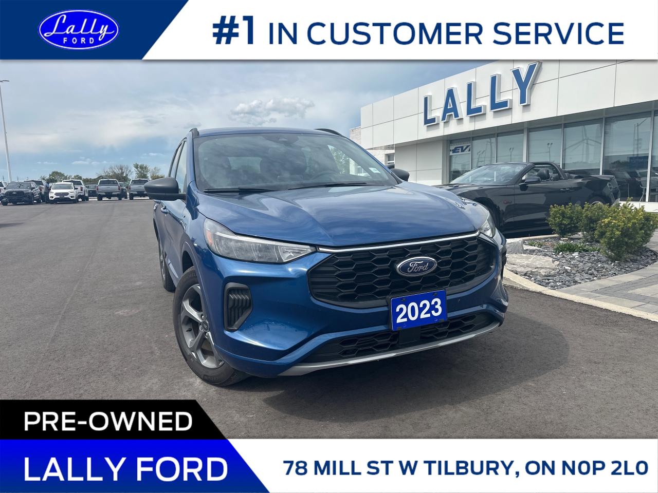 Used 2023 Ford Escape ST-Line One Owner, AWD, Mint!! for sale in Tilbury, ON