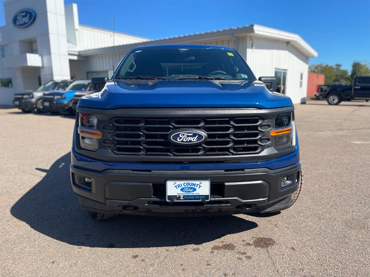 2025 Ford F-150 STX Photo5