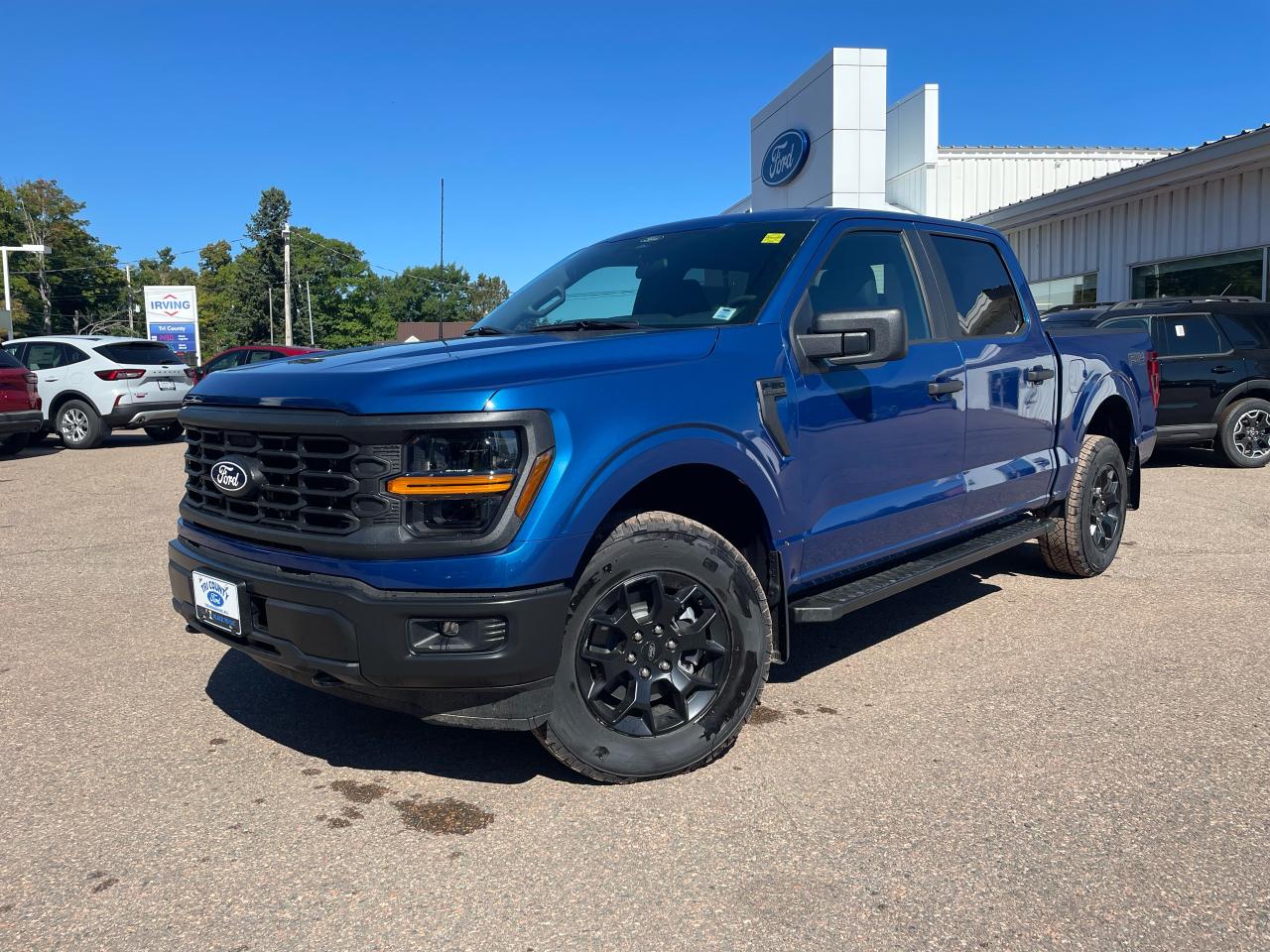 2025 Ford F-150 STX Photo2