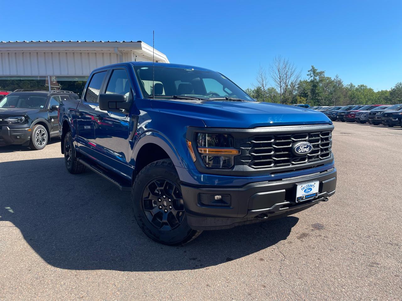2025 Ford F-150 STX Photo0