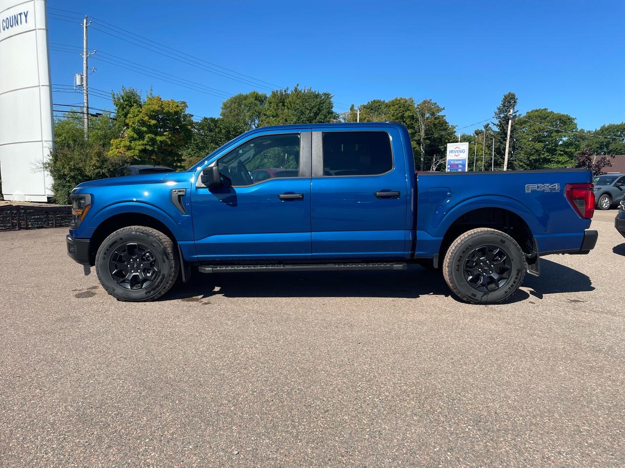 2025 Ford F-150 STX Photo5