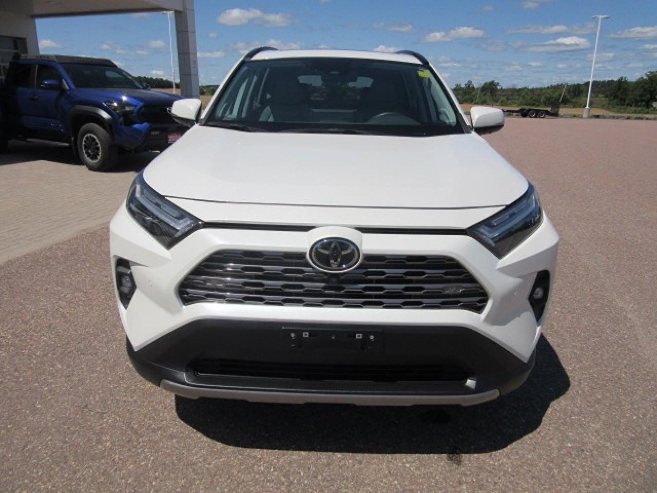2022 Toyota RAV4 LIMITED  Photo