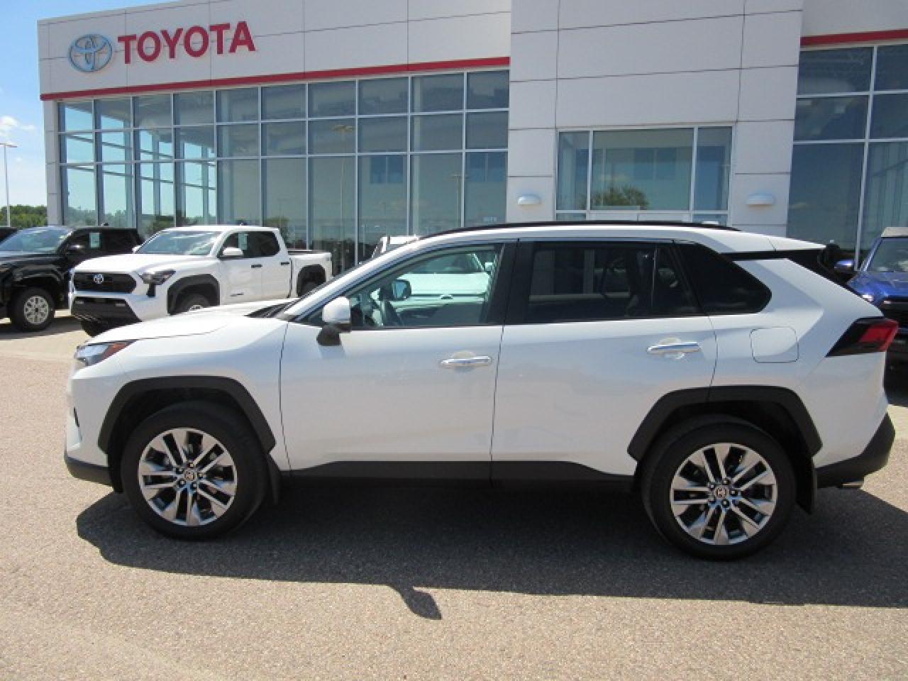 2022 Toyota RAV4 LIMITED  Photo
