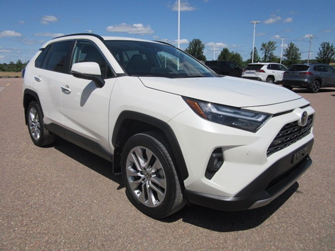 2022 Toyota RAV4 LIMITED  Photo