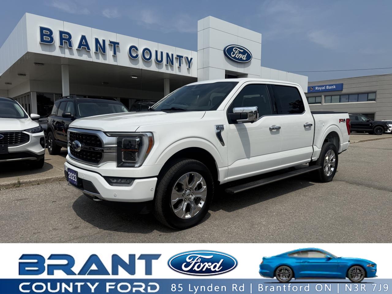 Used 2023 Ford F-150 |PLATINUM|1OWNER|NO ACCIDENTS|MOONROOF| for sale in Brantford, ON