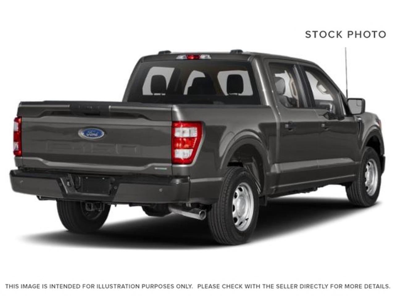 2023 Ford F-150 XLT Photo