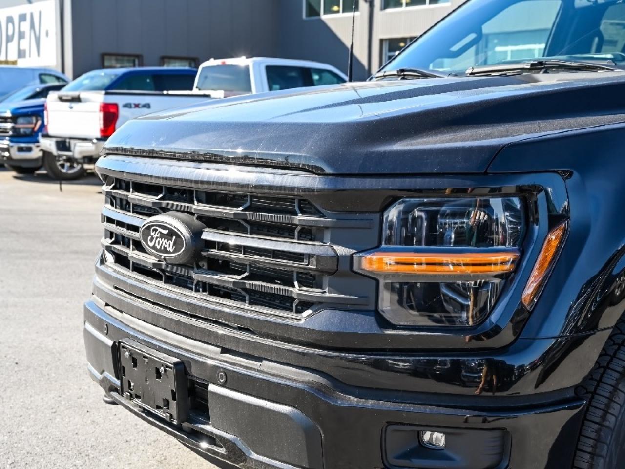 2025 Ford F-150 XLT Photo