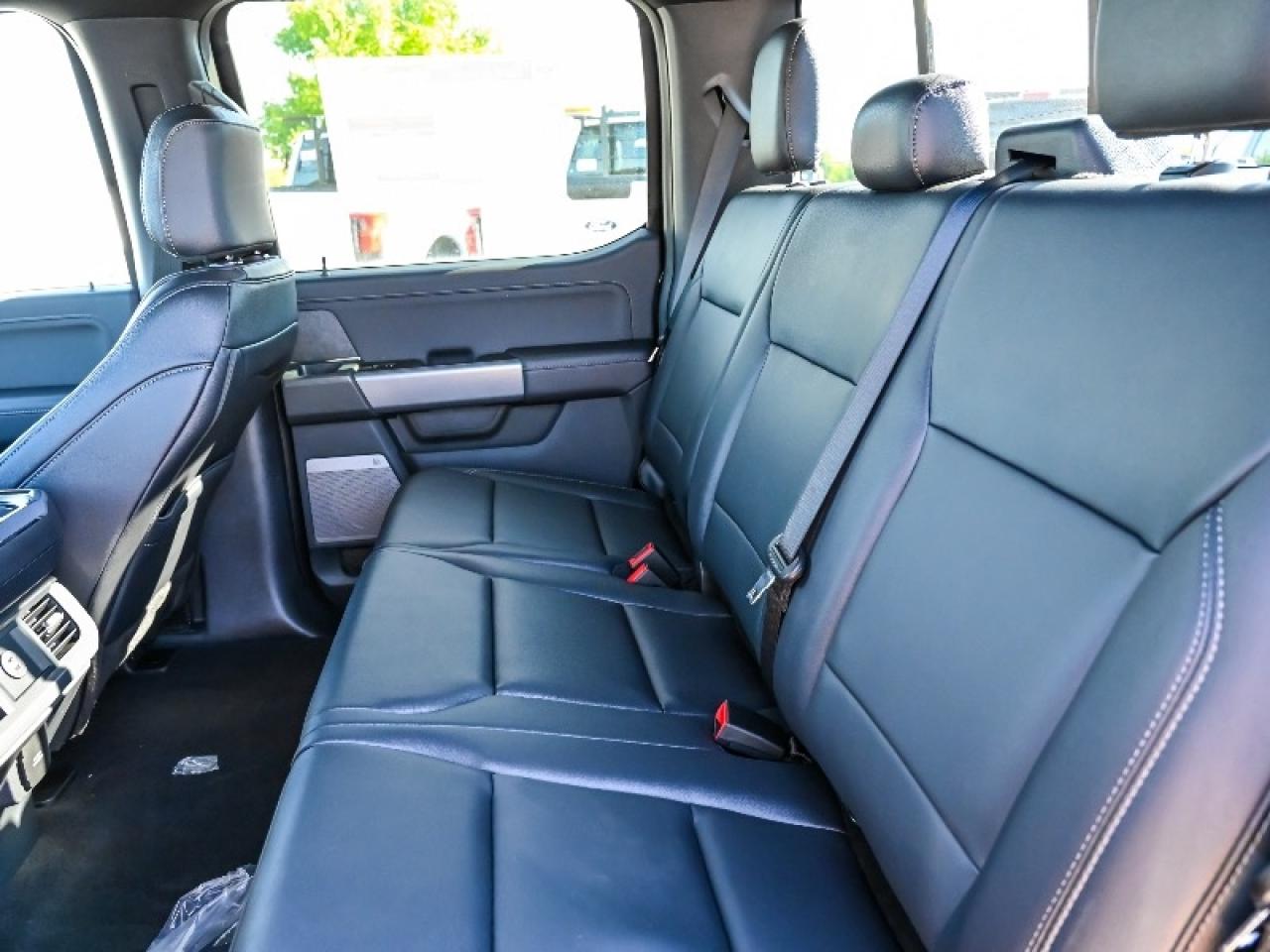 2025 Ford F-150 XLT Photo