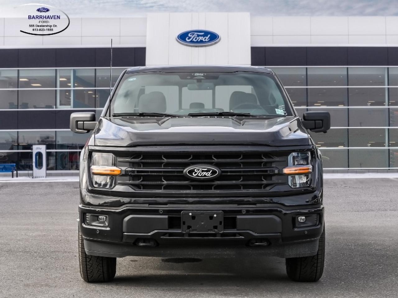 2025 Ford F-150 XLT Photo