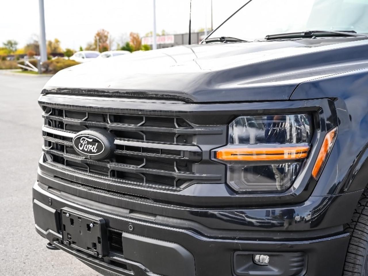 2025 Ford F-150 XLT Photo