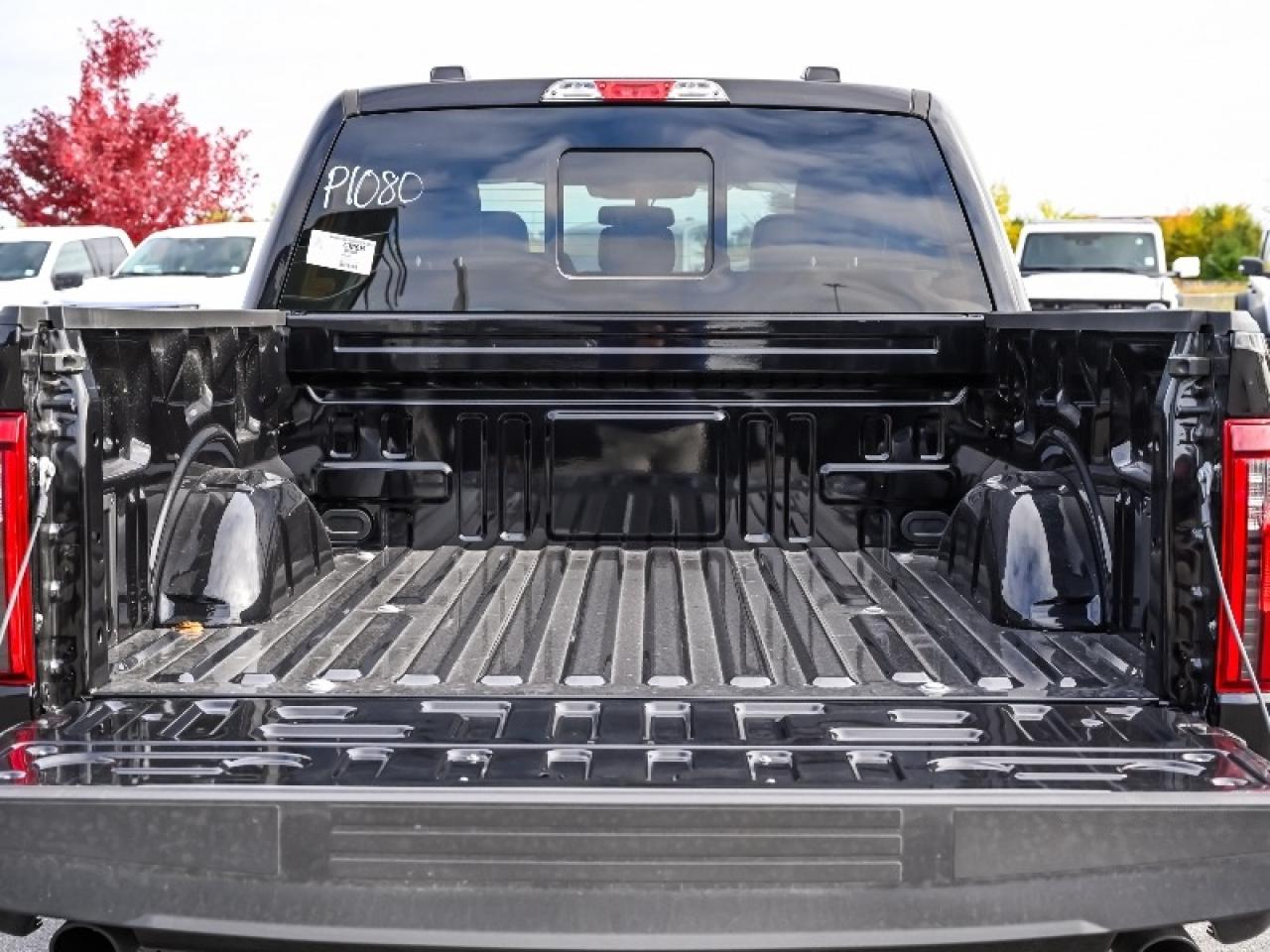 2025 Ford F-150 XLT Photo