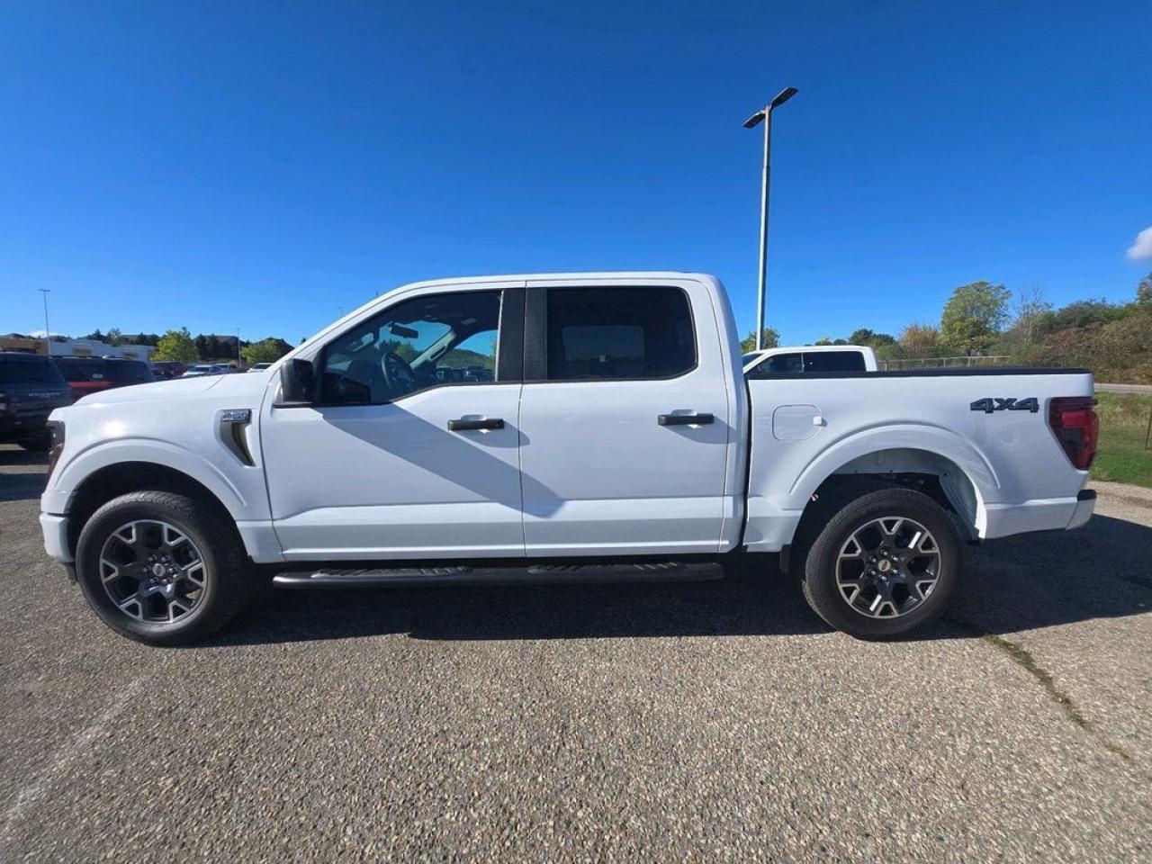 2025 Ford F-150 STX Photo5