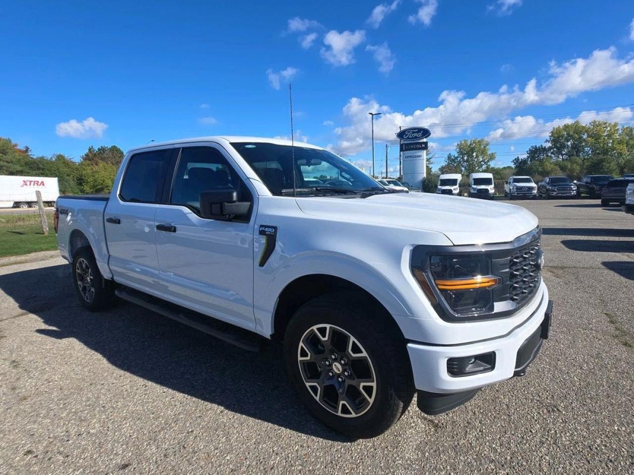 2025 Ford F-150 STX Photo2