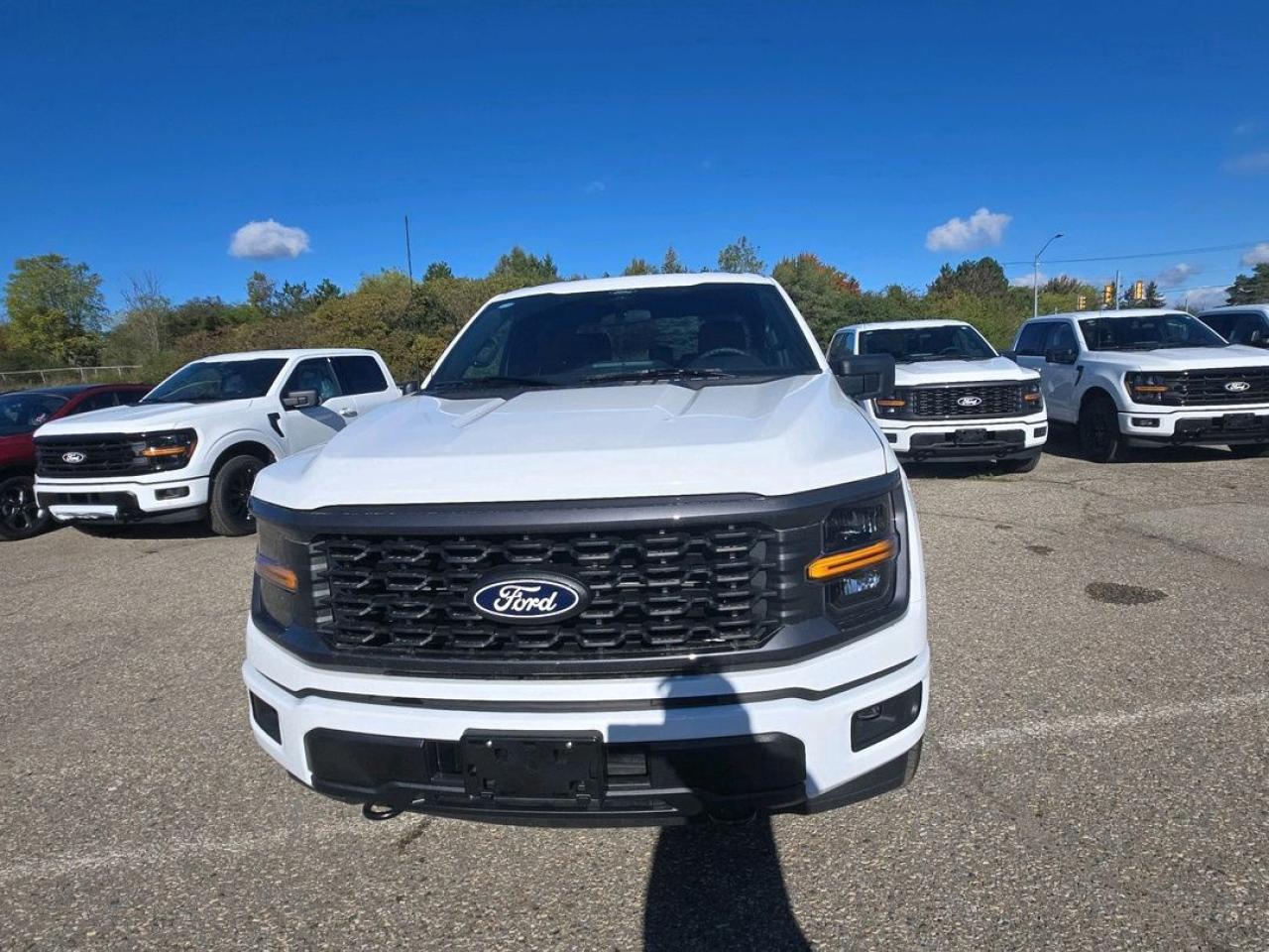 2025 Ford F-150 STX Photo