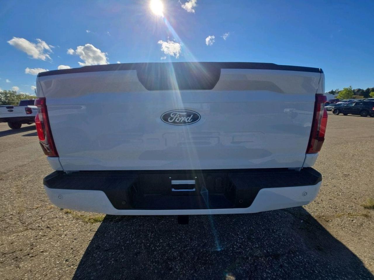 2025 Ford F-150 STX Photo5