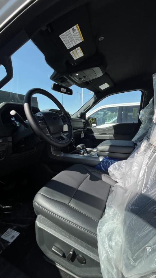 2025 Ford F-150 XLT Photo