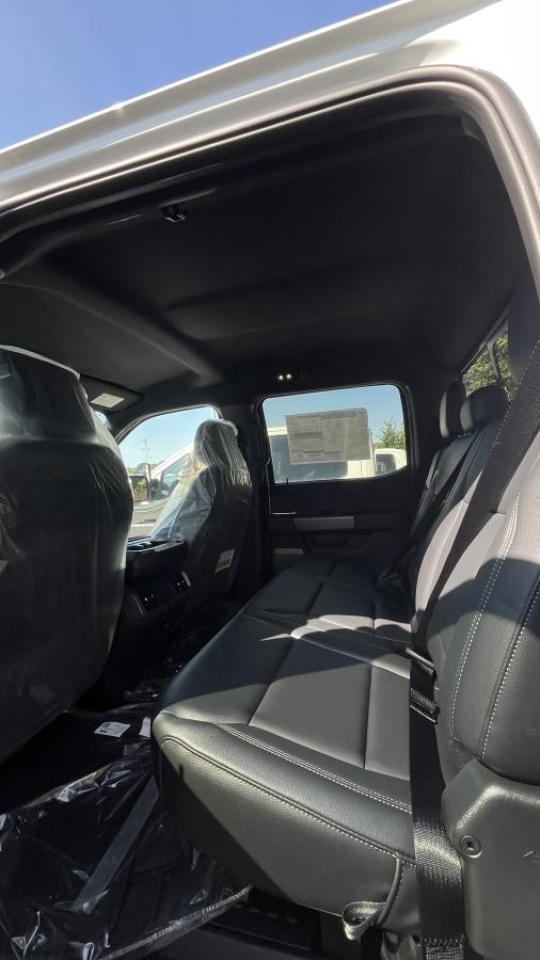 2025 Ford F-150 XLT Photo