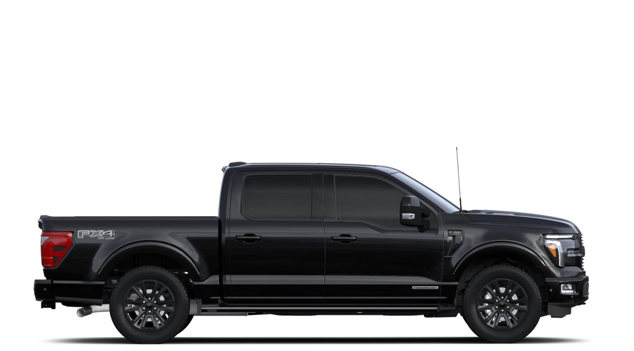 2024 Ford F-150 PLATINUM Photo7