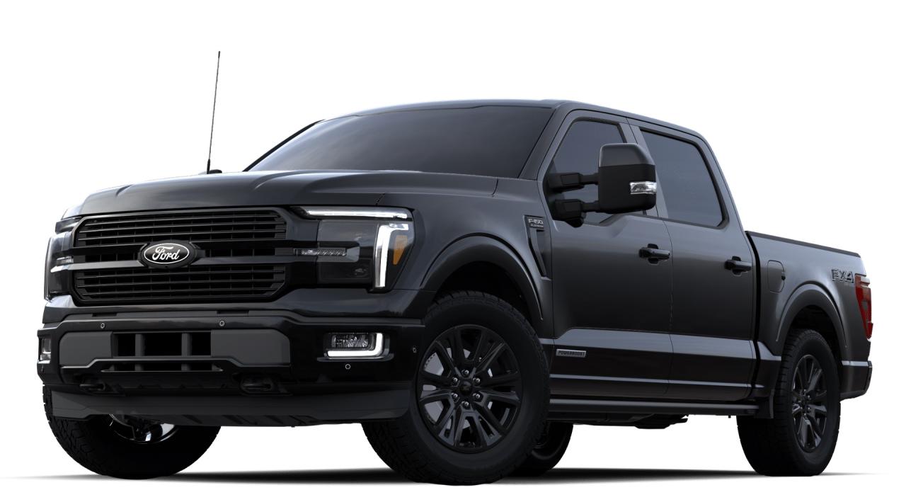 2024 Ford F-150 PLATINUM Photo0