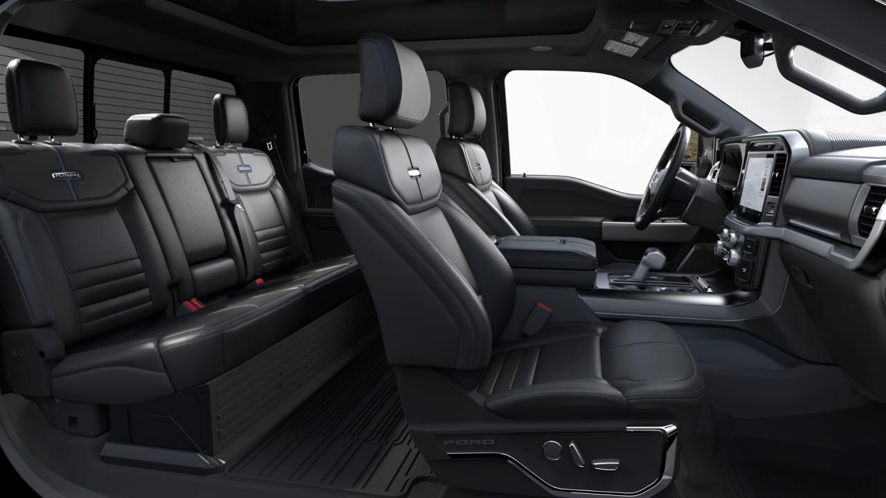 2024 Ford F-150 PLATINUM Photo5