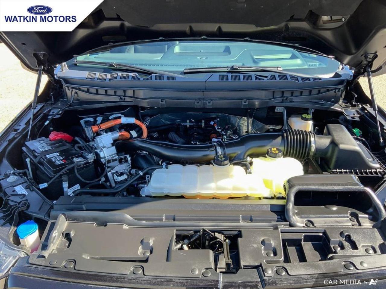 2024 Ford F-150 Supercrew 4x4 PLATINUM 3.5L HYBRID POWERBOOST Photo29