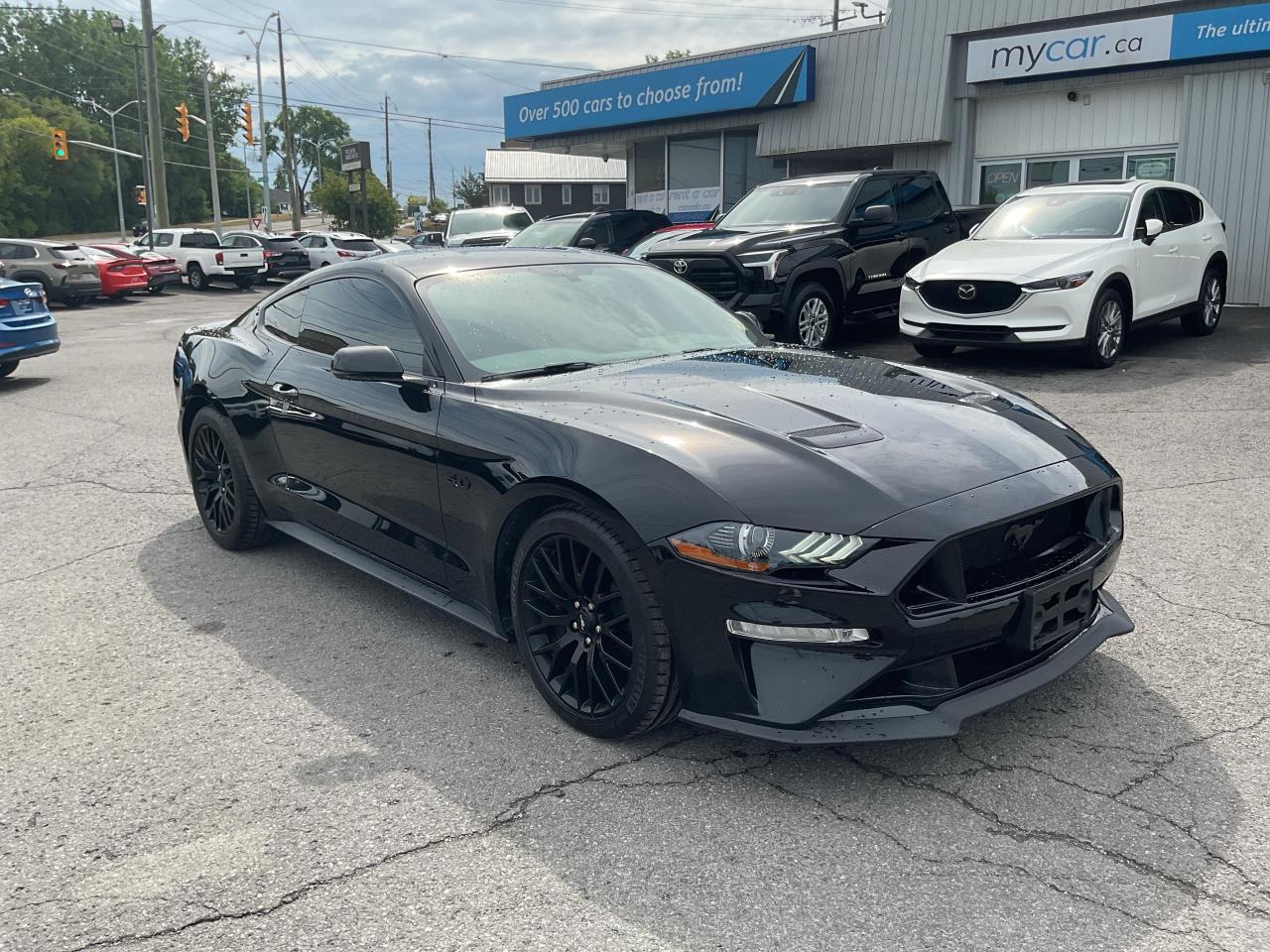 Used 2019 Ford Mustang  for sale in Kingston, ON