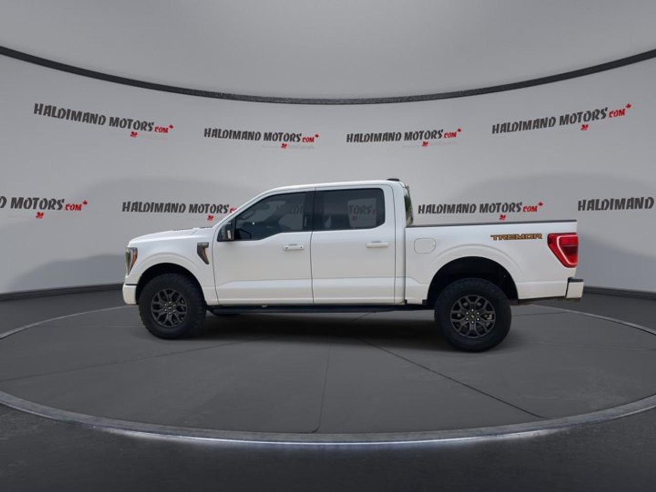 2022 Ford F-150 Tremor SuperCrew 5.5' Box 4WD Photo