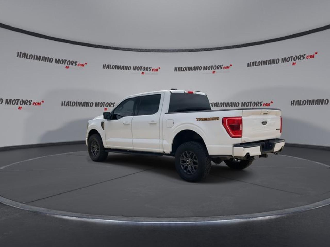 2022 Ford F-150 Tremor SuperCrew 5.5' Box 4WD Photo