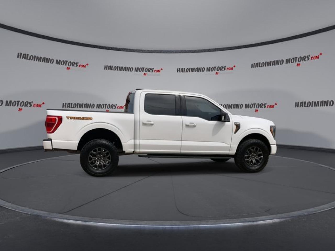 2022 Ford F-150 Tremor SuperCrew 5.5' Box 4WD Photo