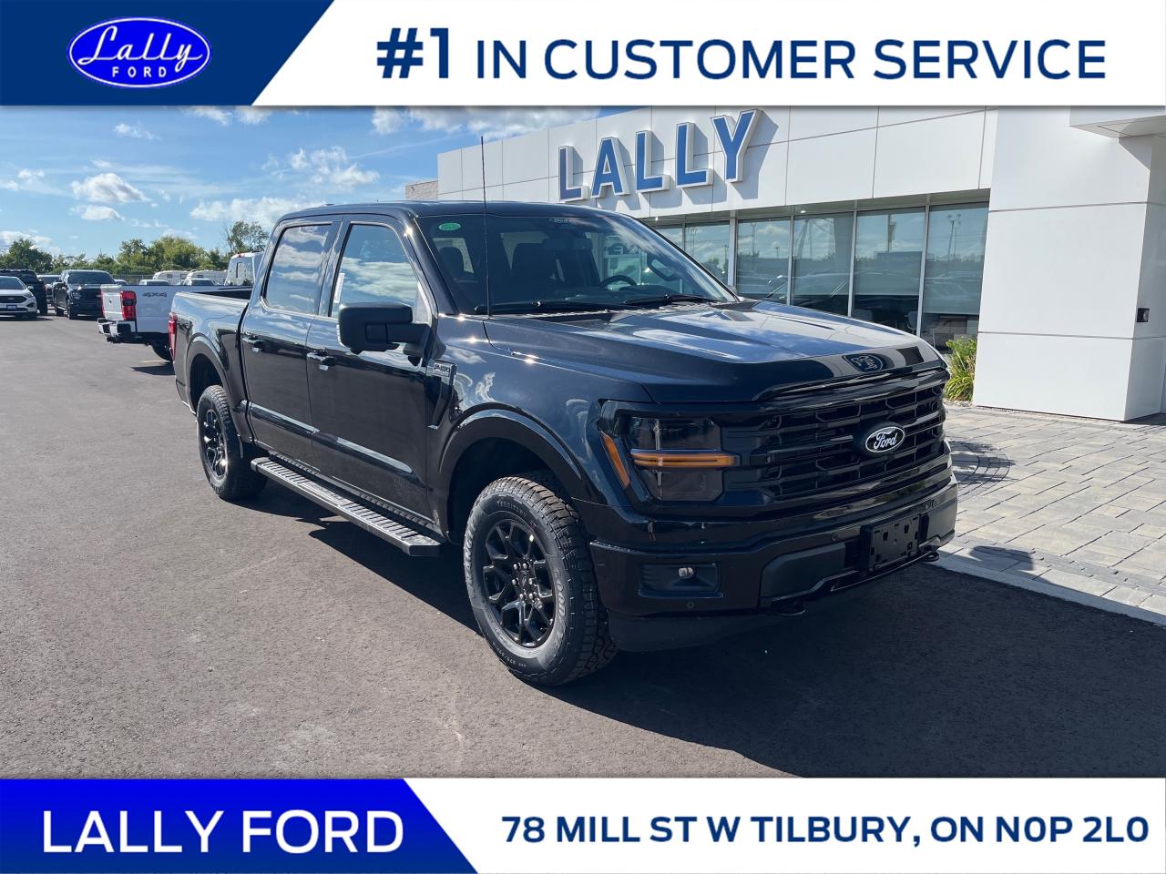 New 2025 Ford F-150 XLT for sale in Tilbury, ON