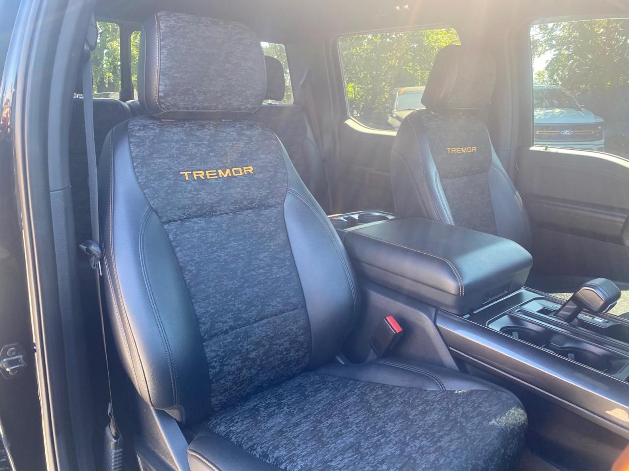 2022 Ford F-150 Tremor - Photo #12