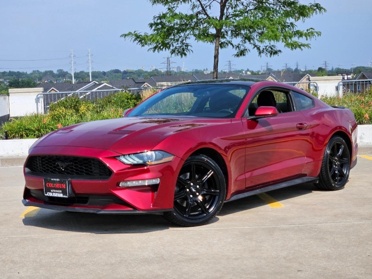 Used 2019 Ford Mustang ECOBOOST FASTBACK-AUTO-CARPLAY-CAMERA-NEW TIRES for sale in Toronto, ON