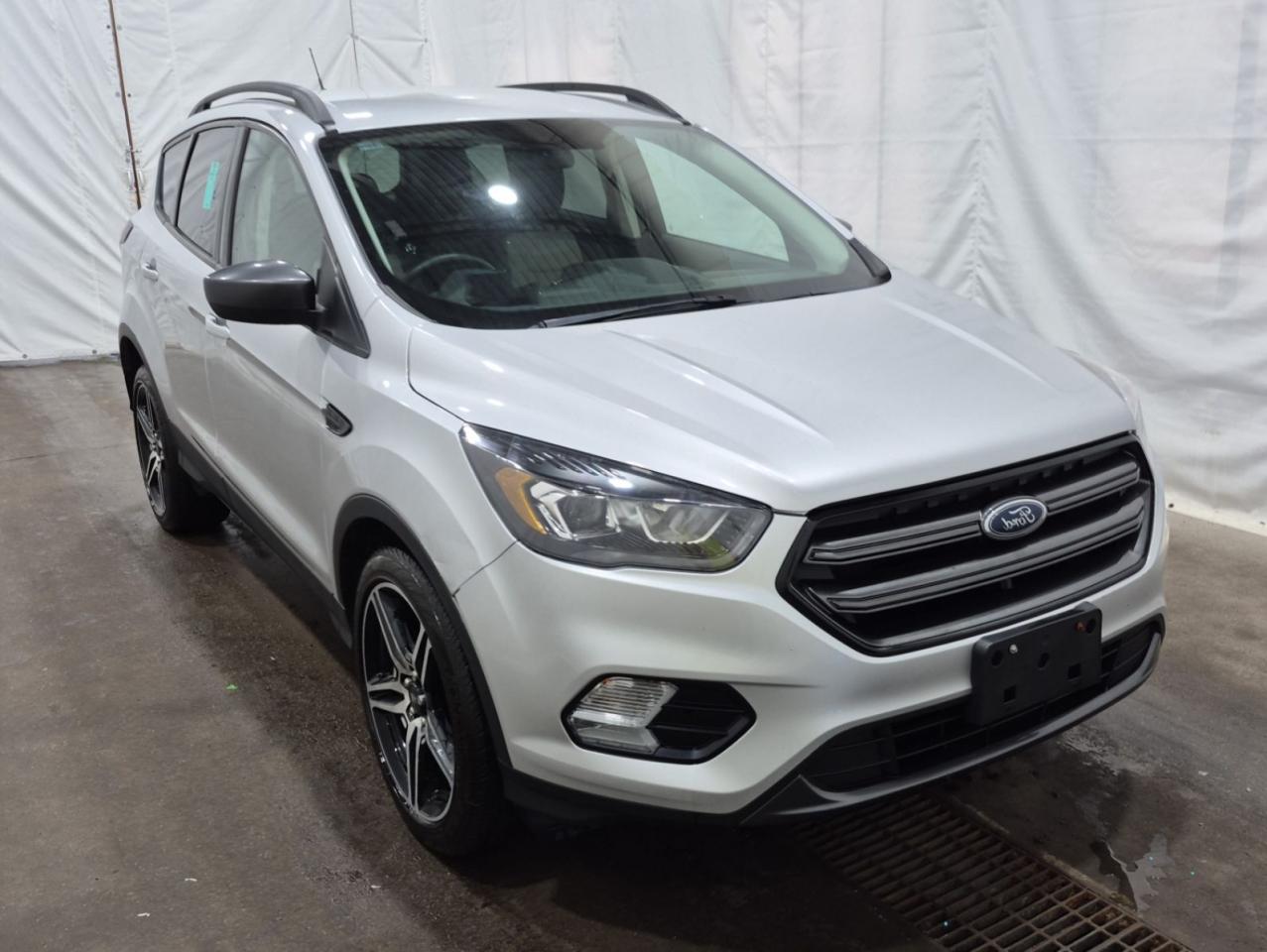 Used 2019 Ford Escape SEL for sale in London, ON