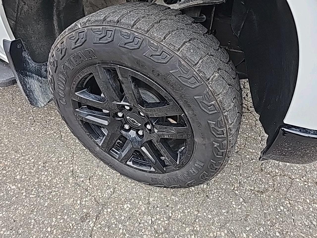 2024 Chevrolet Silverado 1500 LT Trail Boss LEATHER, POWER SUNROOF Photo