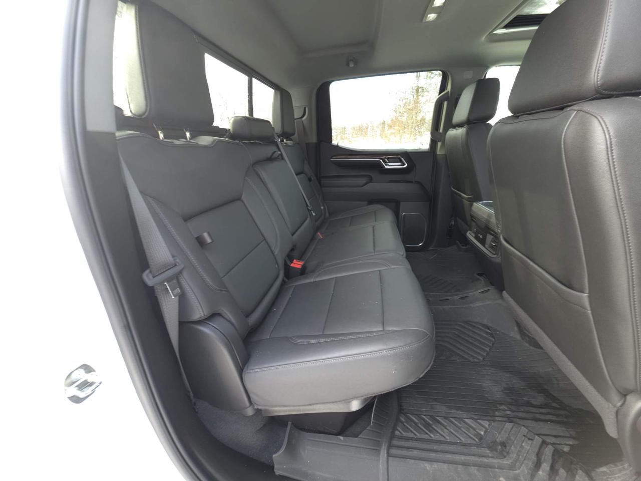 2024 Chevrolet Silverado 1500 LT Trail Boss LEATHER, POWER SUNROOF Photo