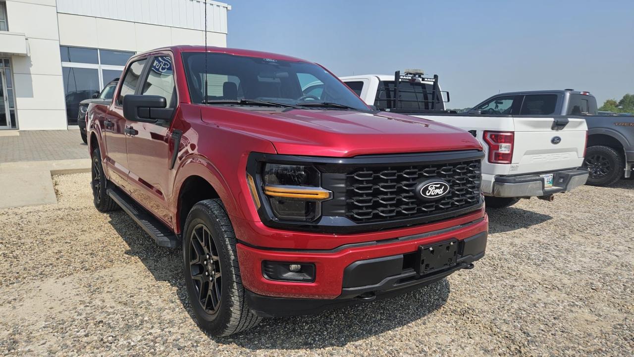 2024 Ford F-150 STX 4WD SuperCrew 5.5' Box Photo1