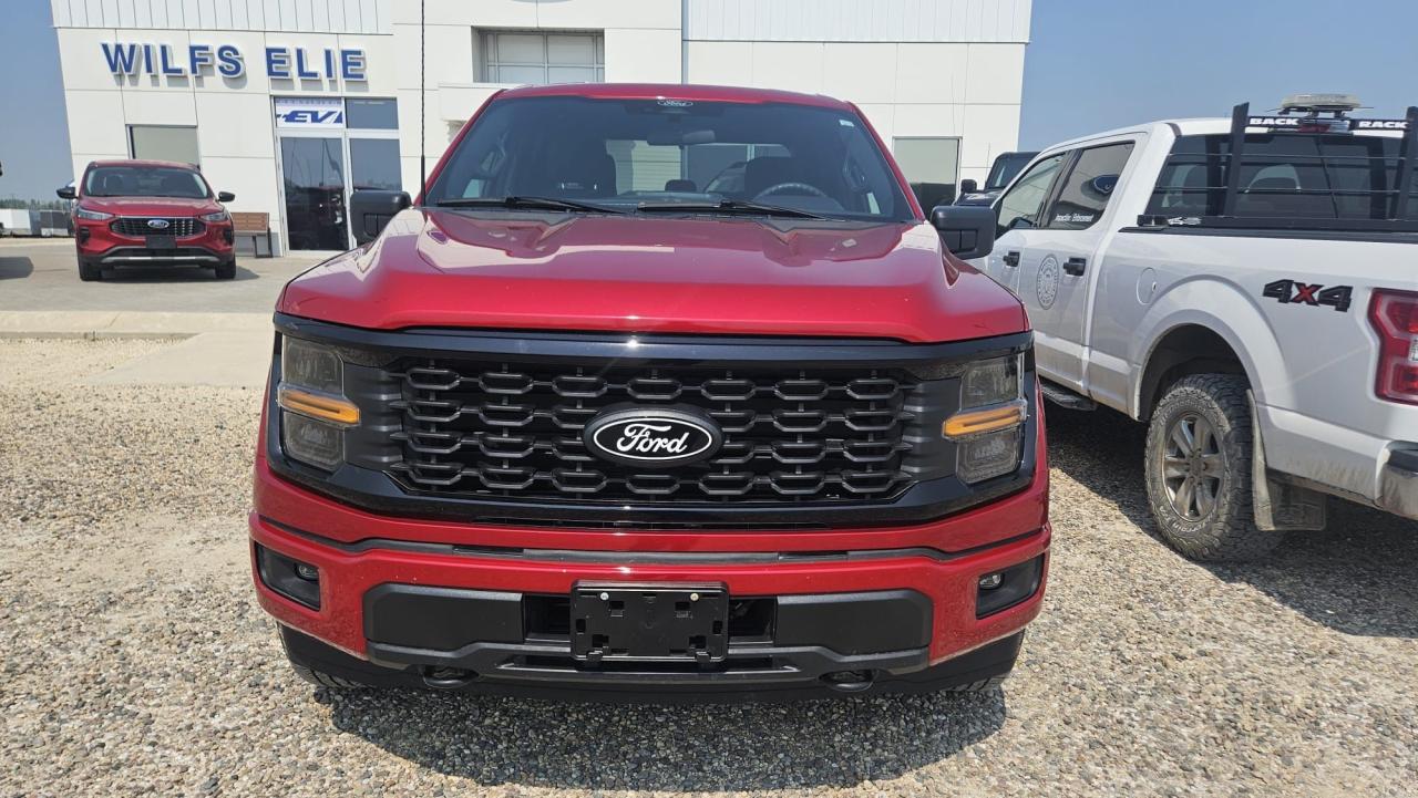 2024 Ford F-150 STX 4WD SuperCrew 5.5' Box Photo