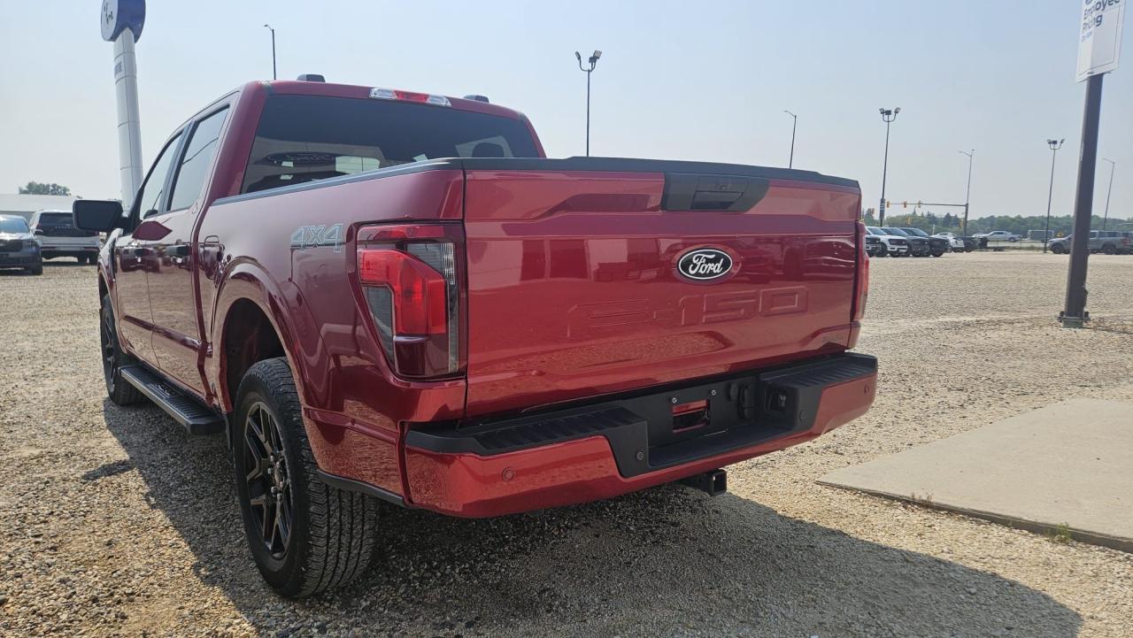2024 Ford F-150 STX 4WD SuperCrew 5.5' Box Photo5