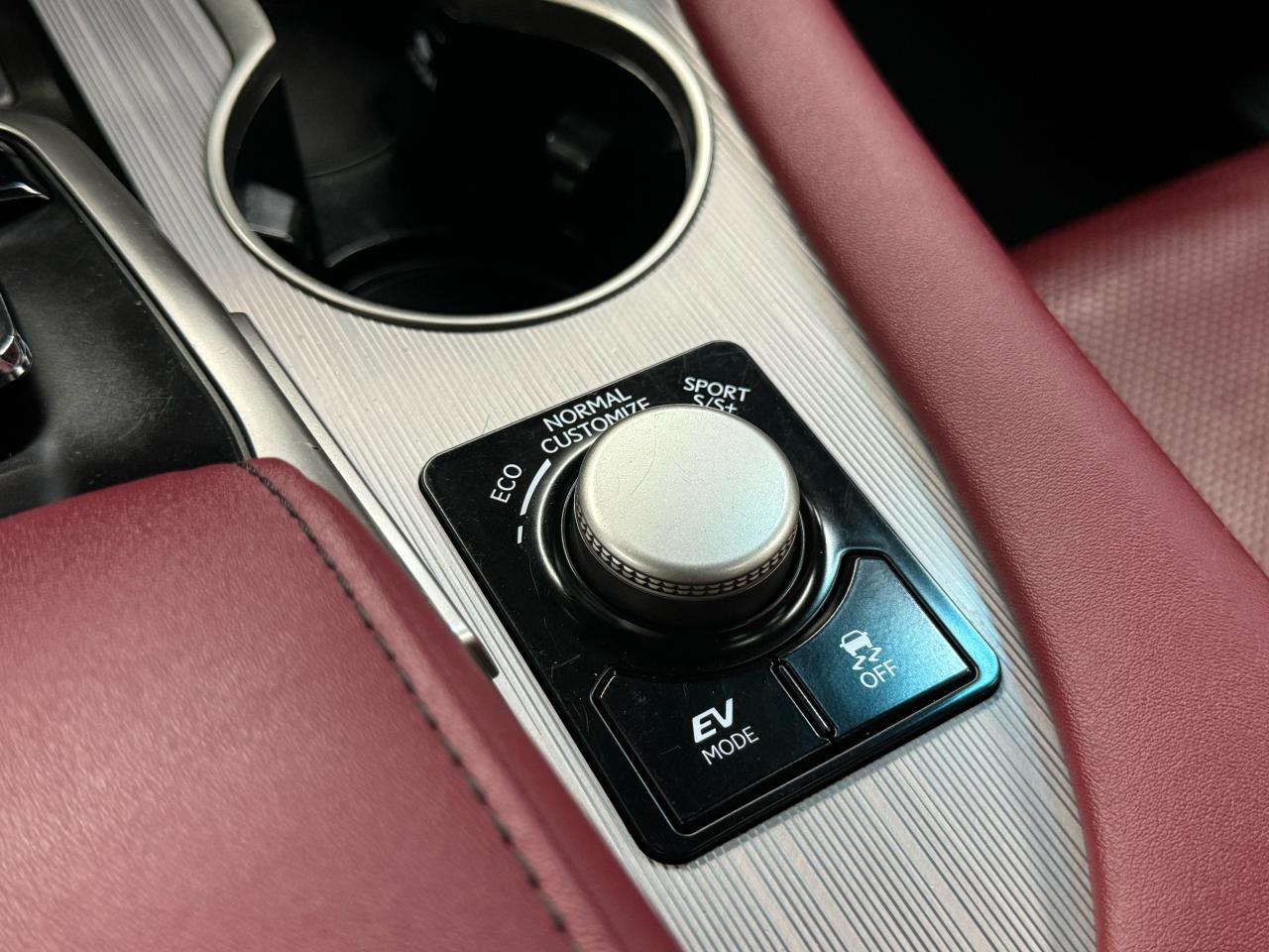 2017 Lexus RX 450h HYBRID|F-SPORT|NAV|BACKUP|LKA|FCW|BSM|RED INT.| - Photo #22