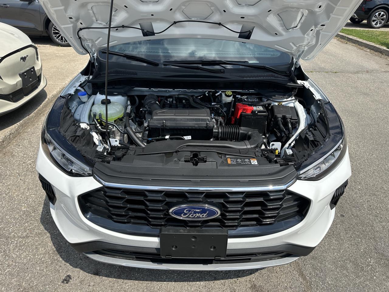 2025 Ford Escape ST-LINE |AWD | TECH PACK | COLD WEATHER GRP  | Photo