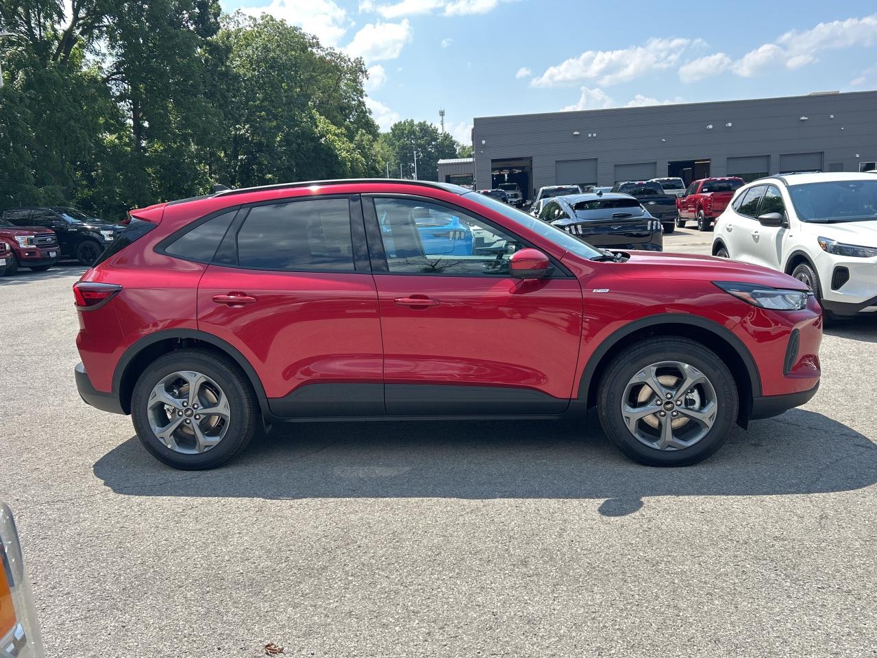 2025 Ford Escape ST-Line Select Photo3