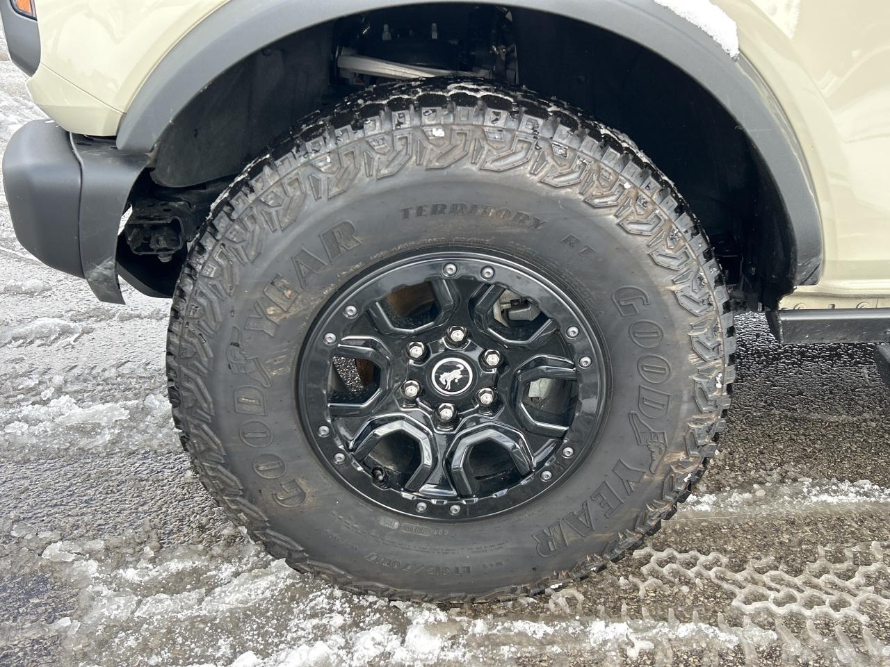 2025 Ford Bronco Badlands Photo5