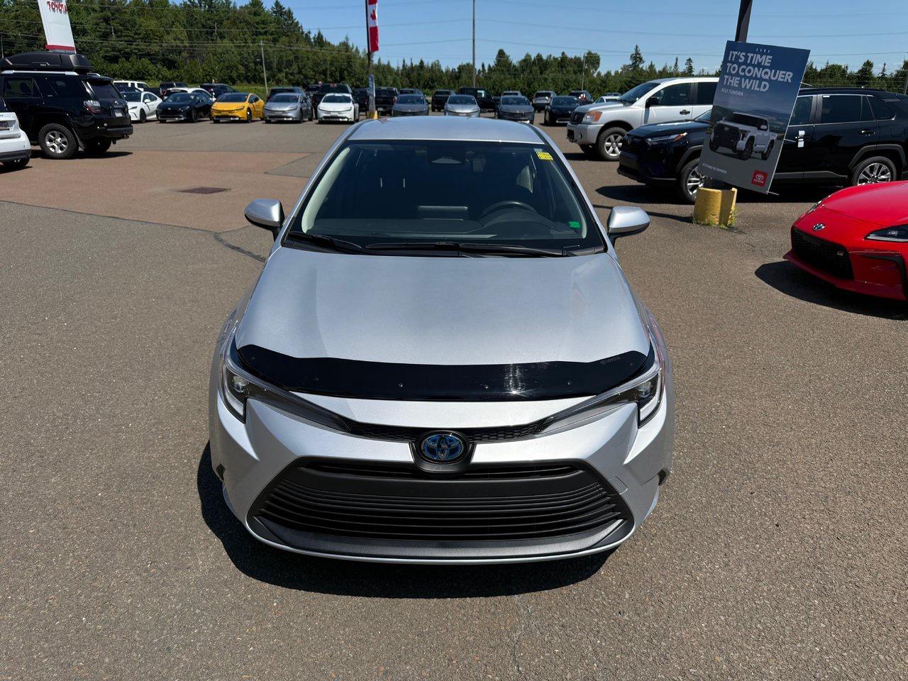 2024 Toyota Corolla LE Photo1