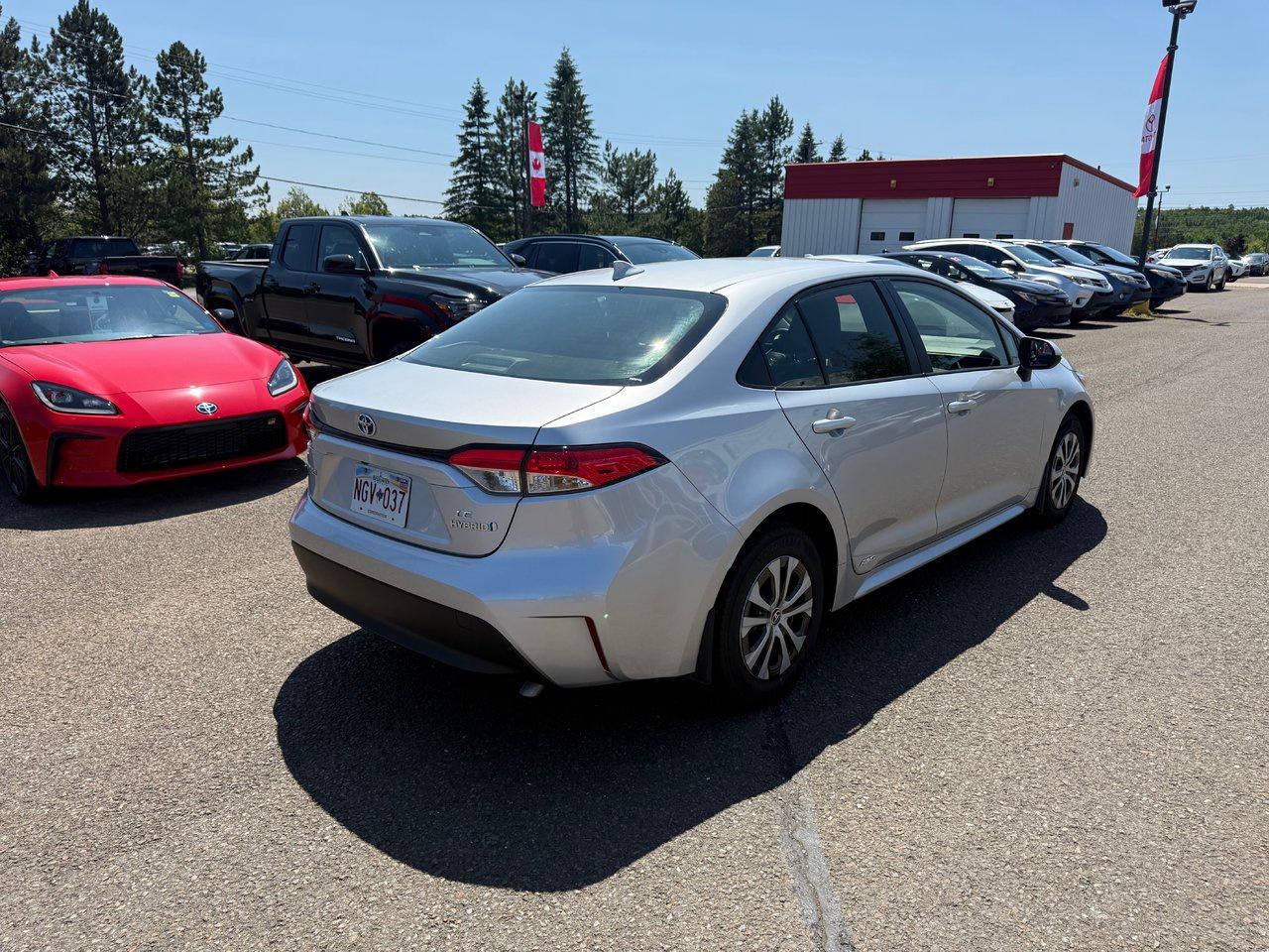 2024 Toyota Corolla LE Photo4