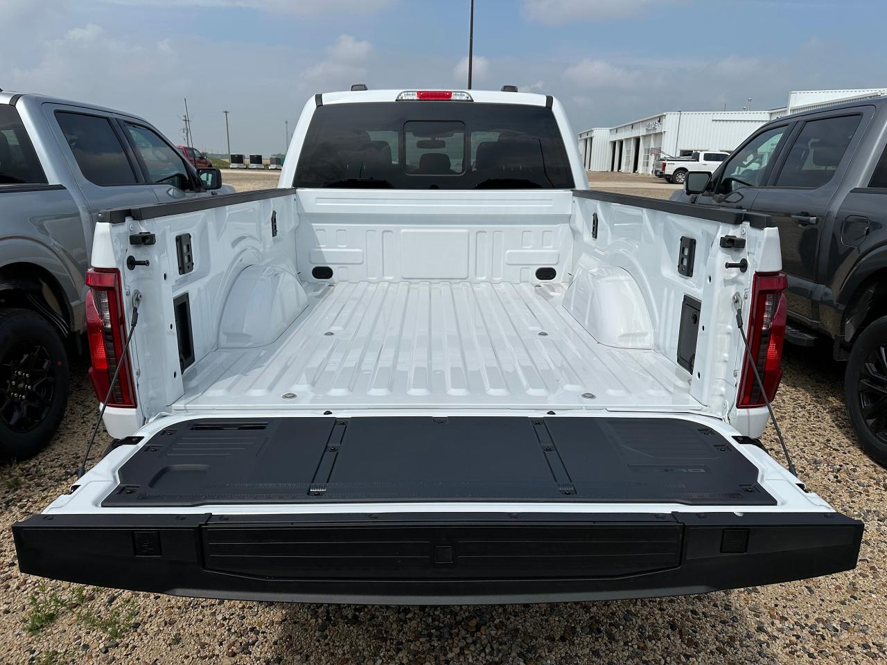 2025 Ford F-150 XLT 4WD SuperCrew 5.5' Box 302A Photo4