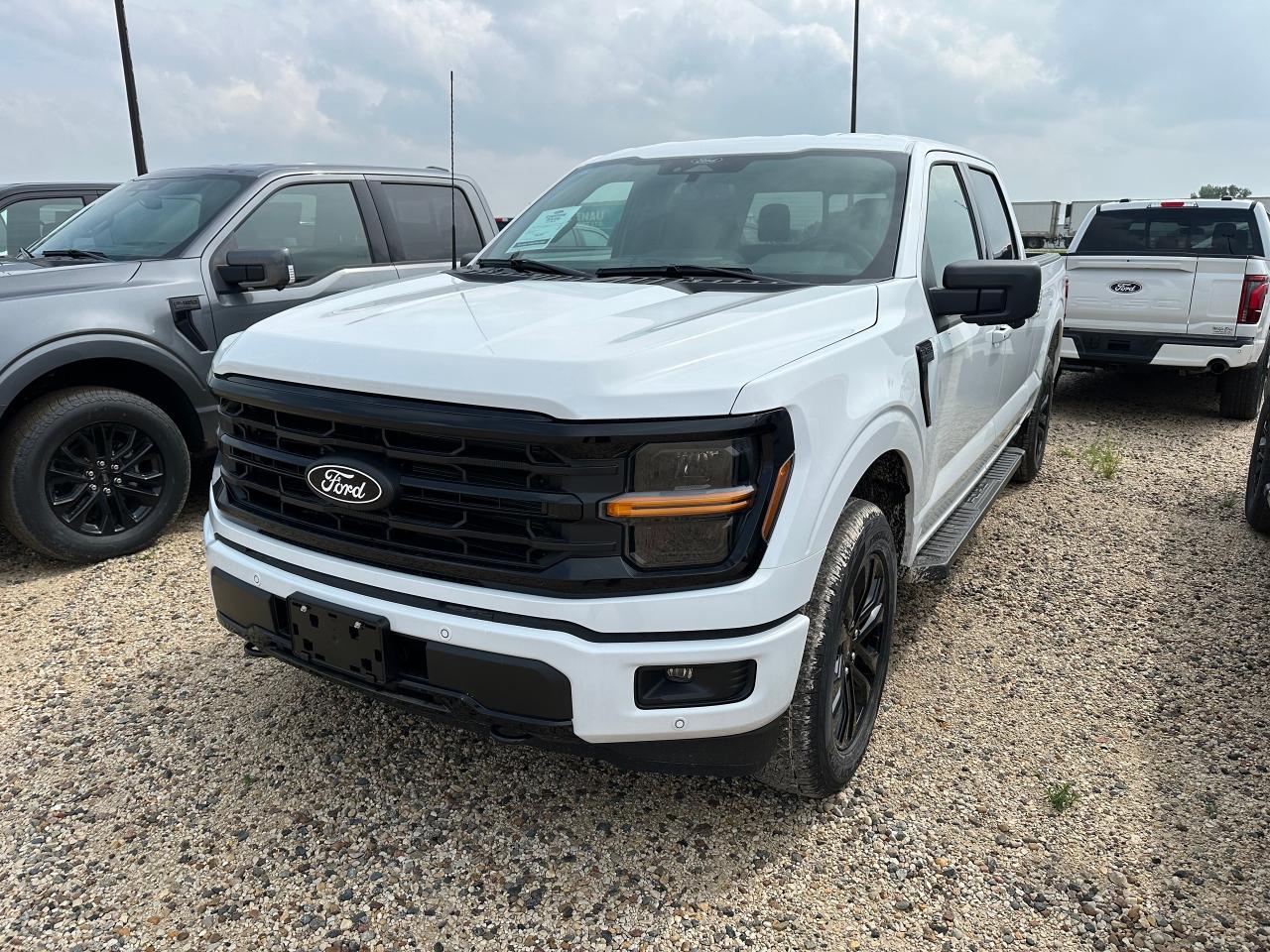 2025 Ford F-150 XLT 4WD SuperCrew 5.5' Box 302A Photo1